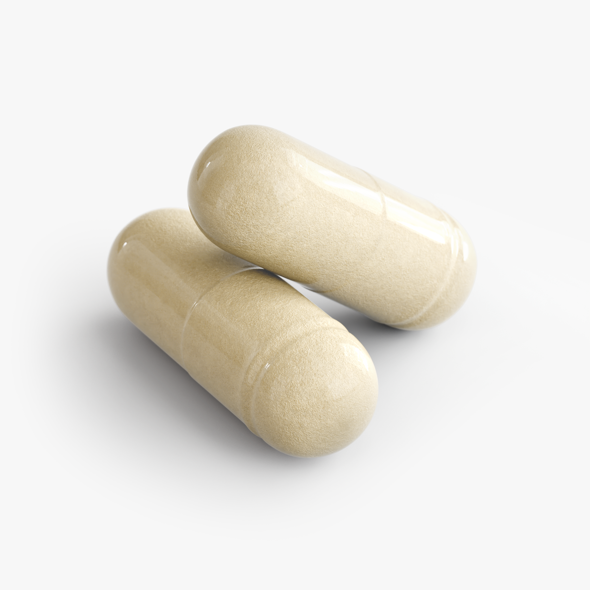Rooted Digest with Probiotics, Prebiotics & Digestive Enzymes – 60 Capsules