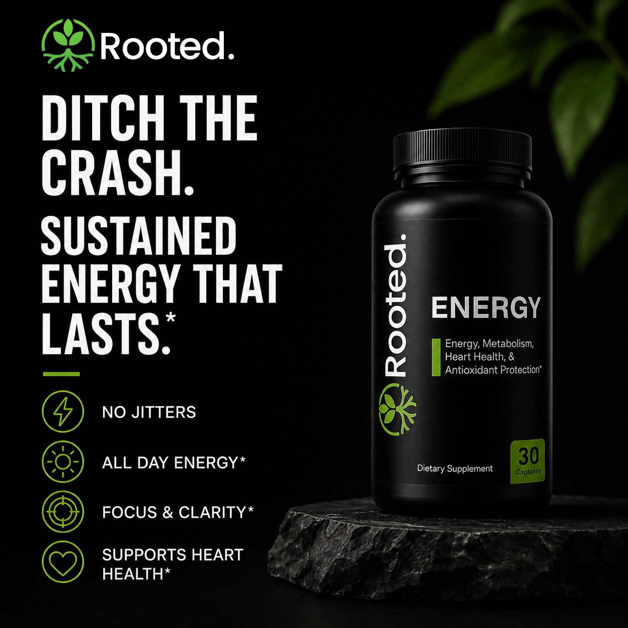 Rooted Energy – Vitamin B12 + CoQ10 Daily Energy Support (3-Pack)