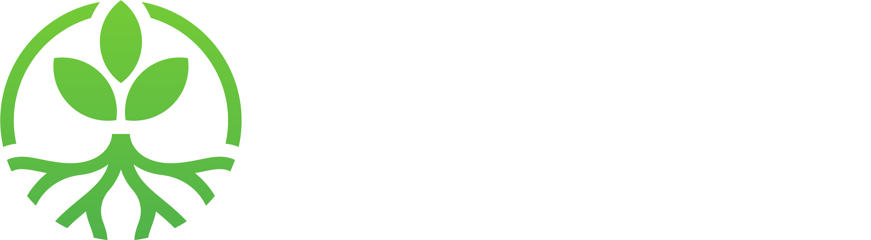 Rooted Essentials