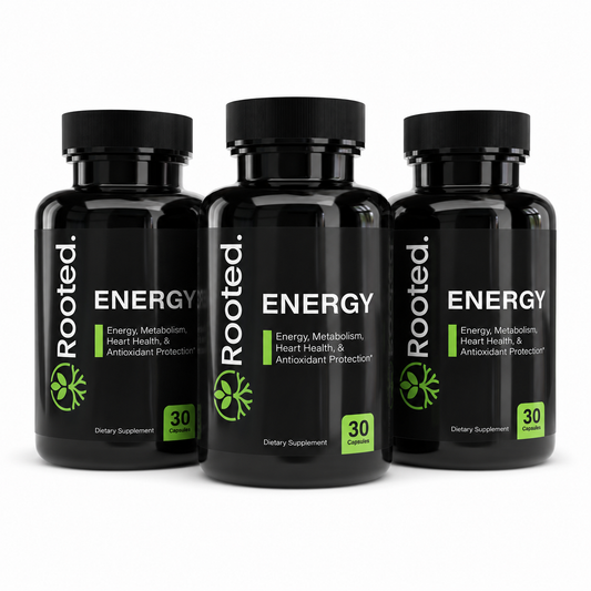 Rooted Energy — 3 Pack
